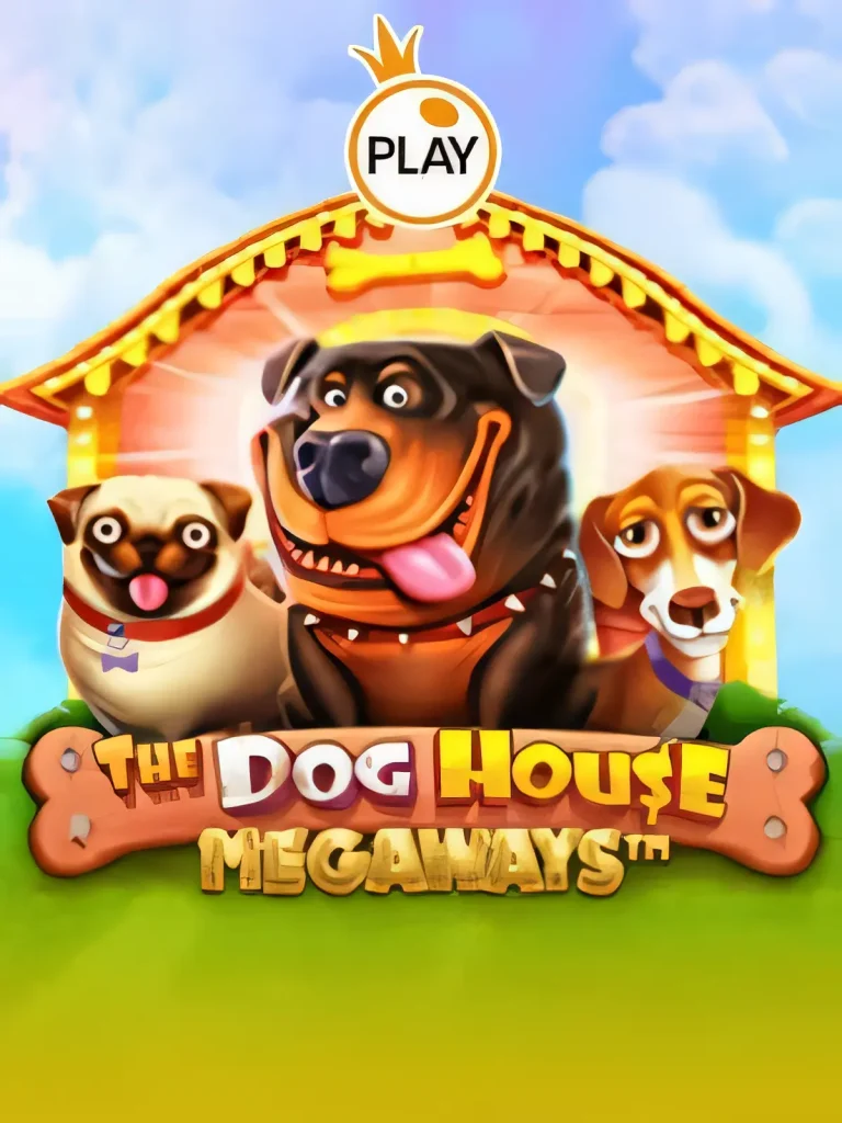 5588bet-doghouse